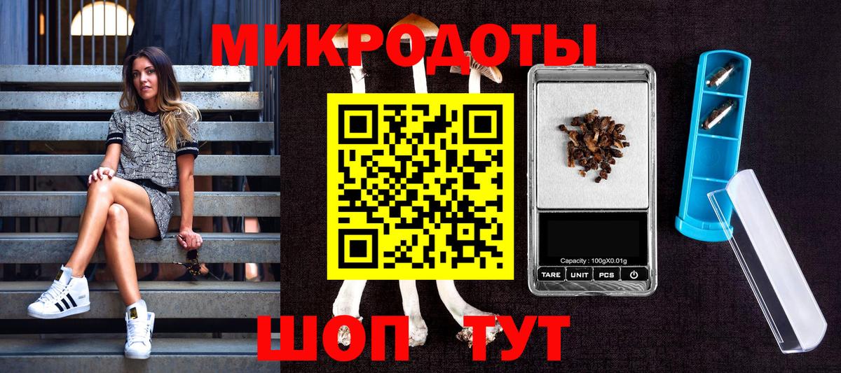 Галлюциногенные грибы Psilocybe Сертолово